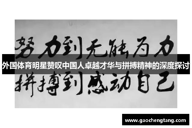外国体育明星赞叹中国人卓越才华与拼搏精神的深度探讨