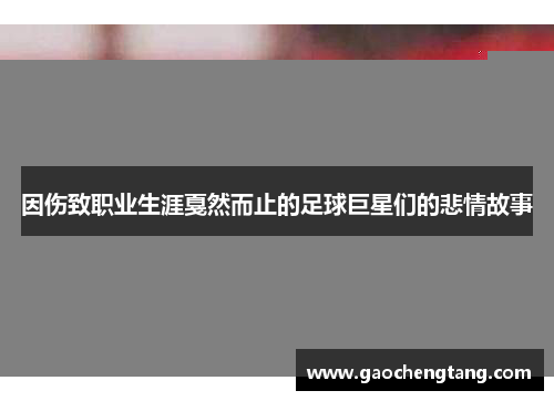 因伤致职业生涯戛然而止的足球巨星们的悲情故事