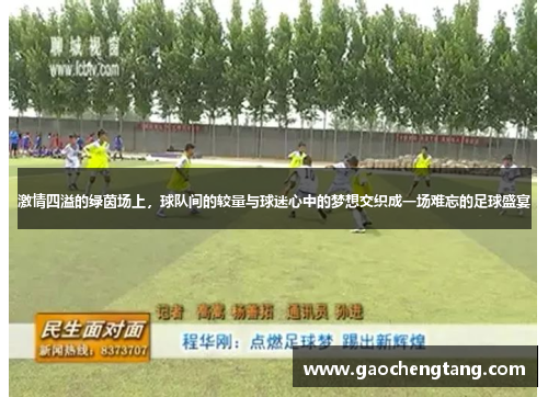 激情四溢的绿茵场上，球队间的较量与球迷心中的梦想交织成一场难忘的足球盛宴