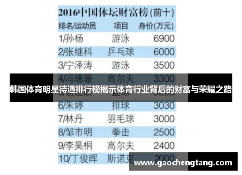 韩国体育明星待遇排行榜揭示体育行业背后的财富与荣耀之路